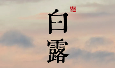 bet9九州酷游(中国)有限公司官网