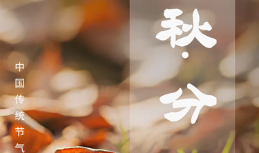 bet9九州酷游(中国)有限公司官网