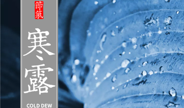 bet9九州酷游(中国)有限公司官网